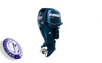 OUTBOARDS EVINRUDE modelo E-TEC-225