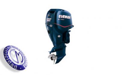 OUTBOARDS EVINRUDE modelo E-TEC-250